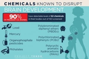 Chemicals_Brain Development